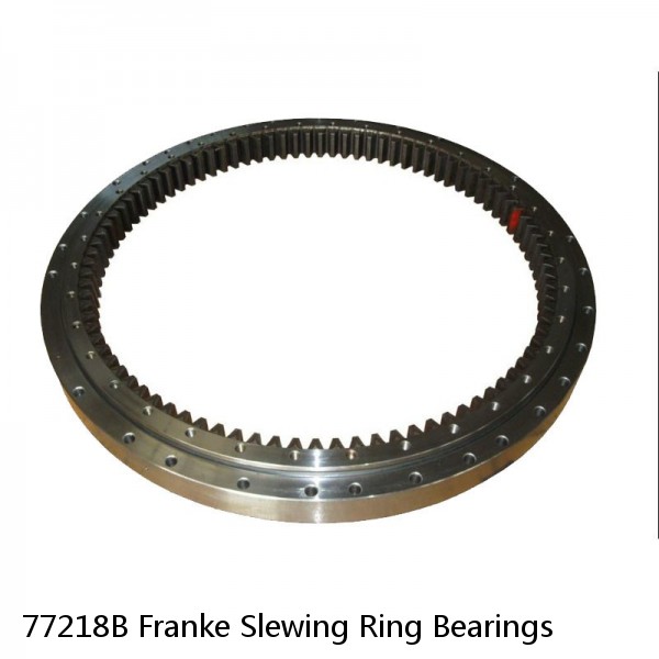 77218B Franke Slewing Ring Bearings
