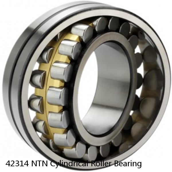 42314 NTN Cylindrical Roller Bearing