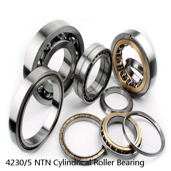 4230/5 NTN Cylindrical Roller Bearing