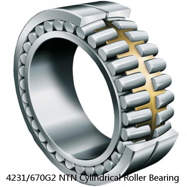 4231/670G2 NTN Cylindrical Roller Bearing
