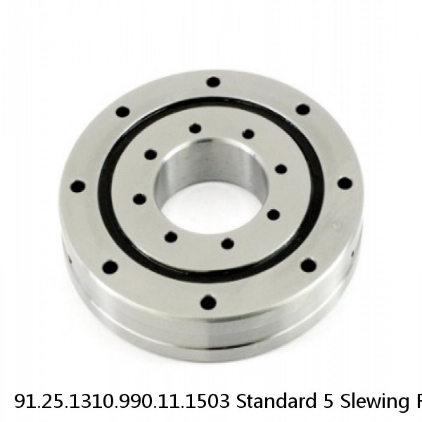 91.25.1310.990.11.1503 Standard 5 Slewing Ring Bearings