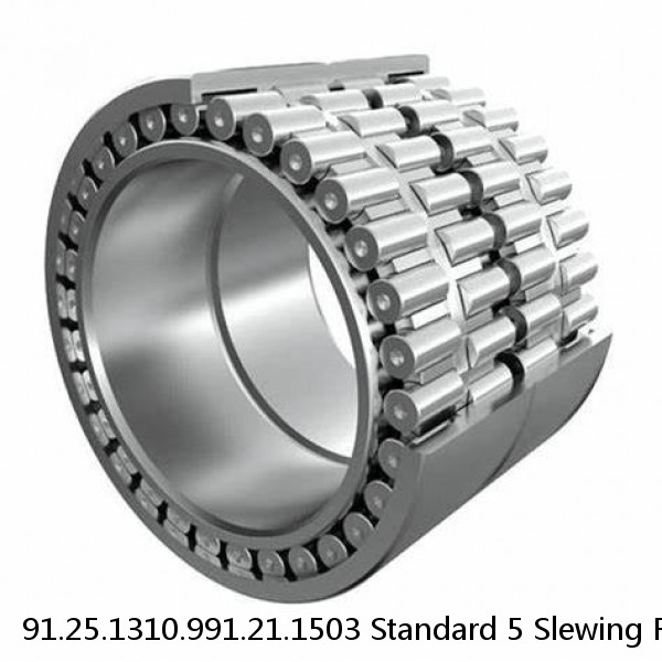 91.25.1310.991.21.1503 Standard 5 Slewing Ring Bearings