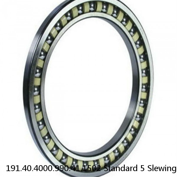 191.40.4000.990.41.1502 Standard 5 Slewing Ring Bearings